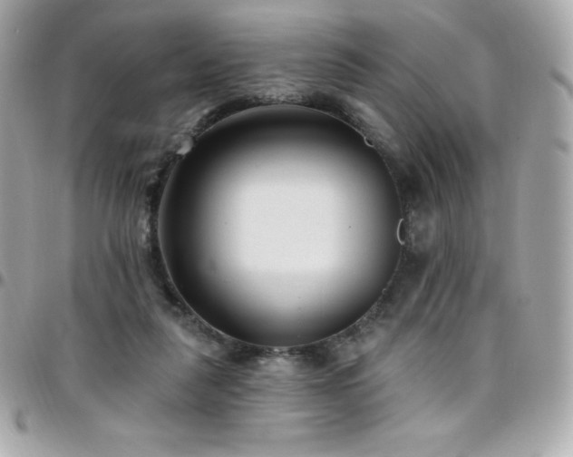 X0000096430259200801241344