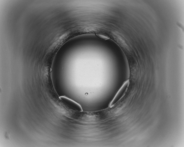 X0000096430260200801241345