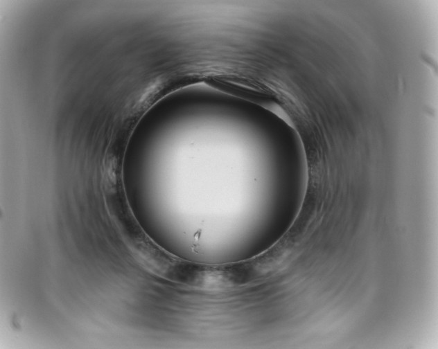X0000096430264200801241345