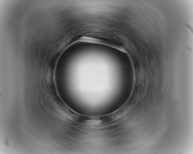 X0000096430266200801241345