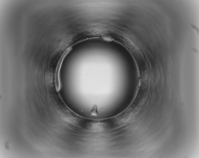 X0000096430268200801241345