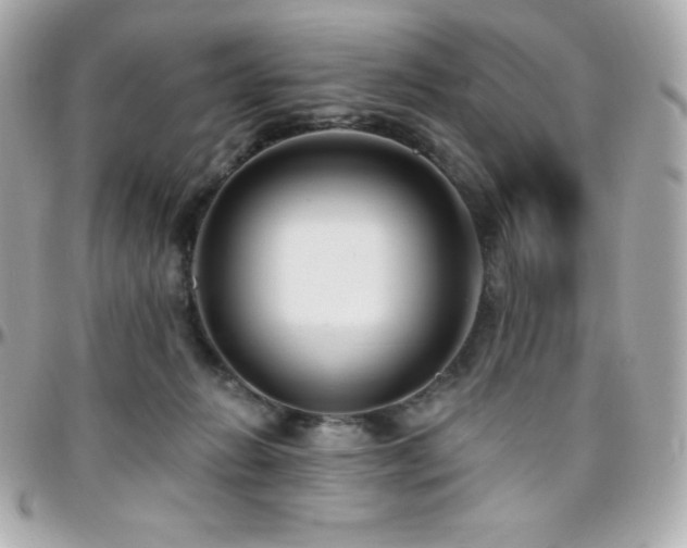 X0000096430270200801241345