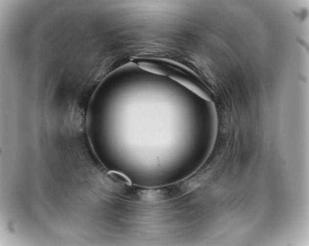 X0000096430273200801241345