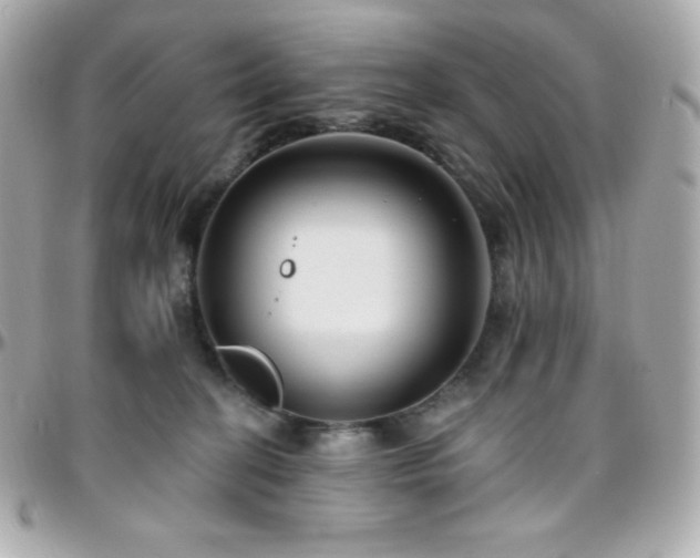 X0000096430274200801241345