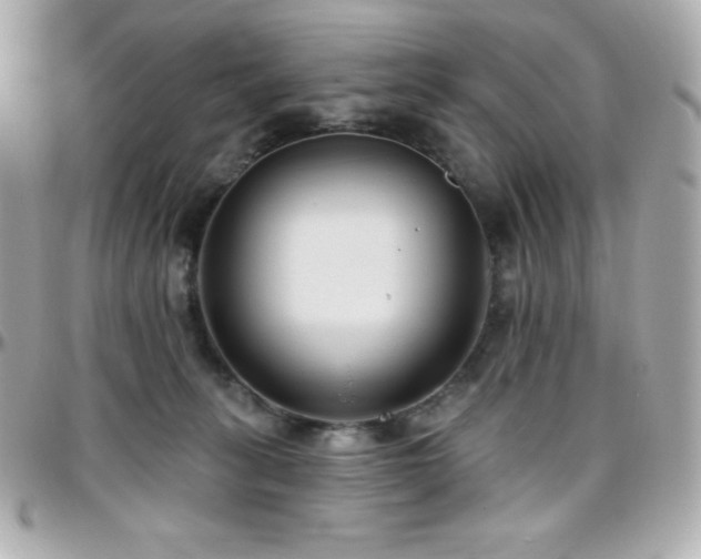 X0000096430275200801241345