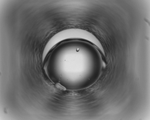 X0000096430276200801241345
