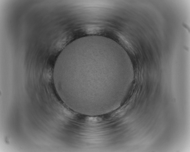 X0000096430277200801241345