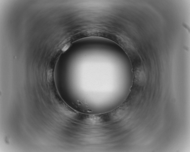 X0000096430278200801241345