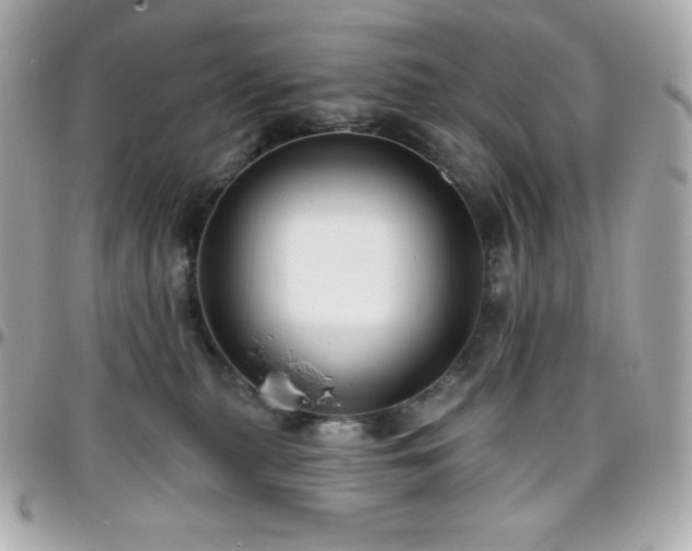 X0000096430279200801241345