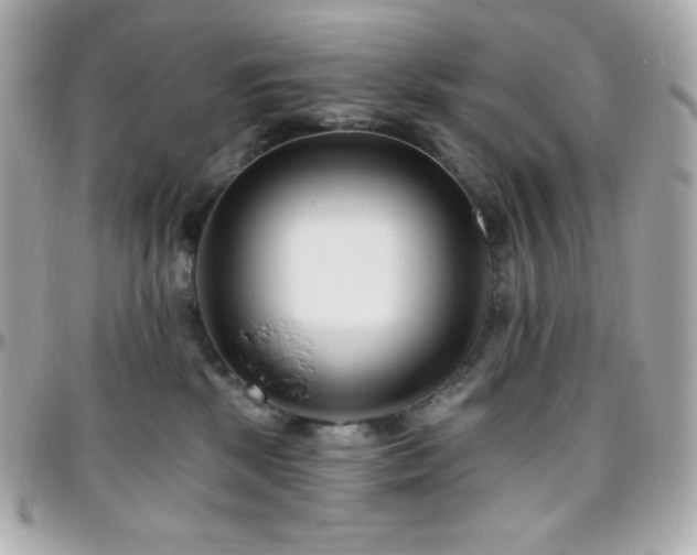 X0000096430281200801241345