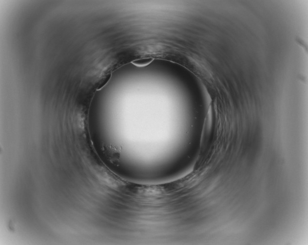 X0000096430282200801241345