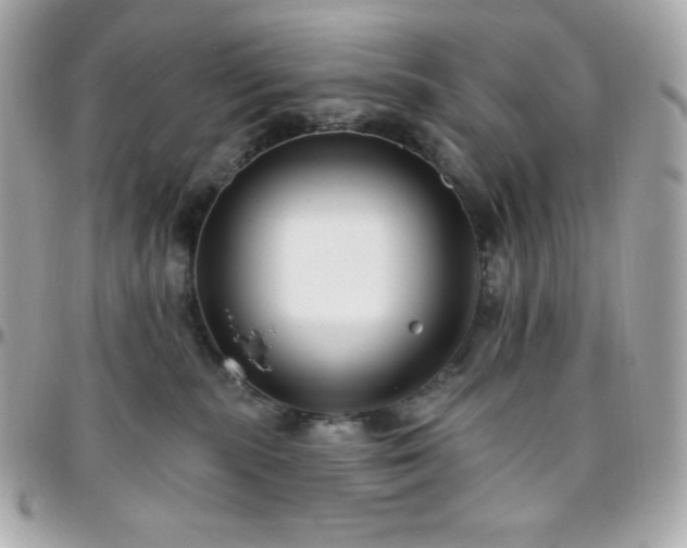 X0000096430283200801241345