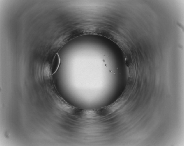 X0000096430287200801241345