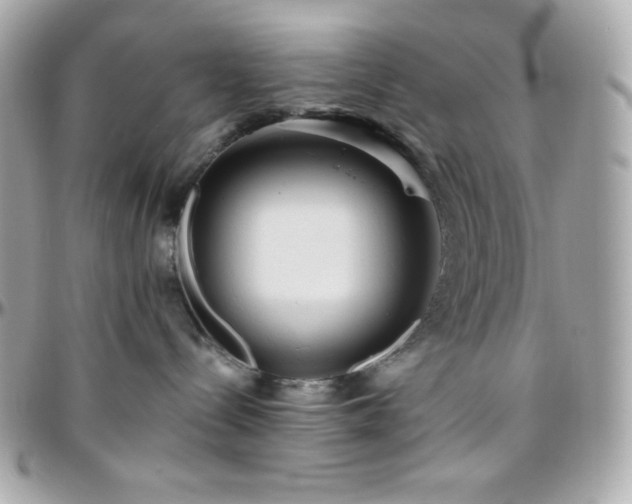 X0000096430288200801241345
