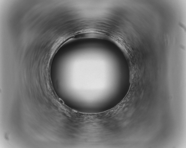 X0000096430289200801241344