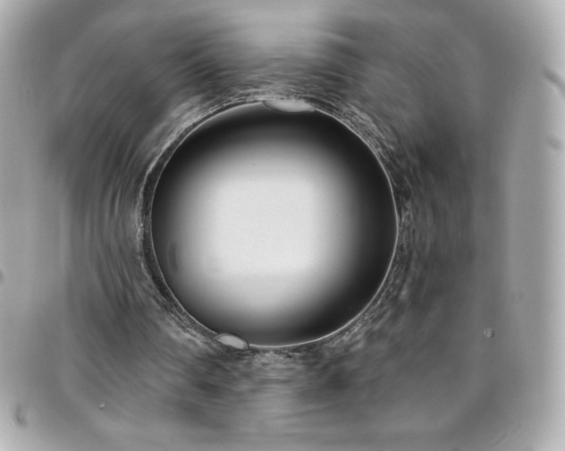 X0000096430290200801241344