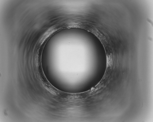 X0000096430291200801241344