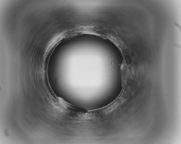 X0000096430293200801241344