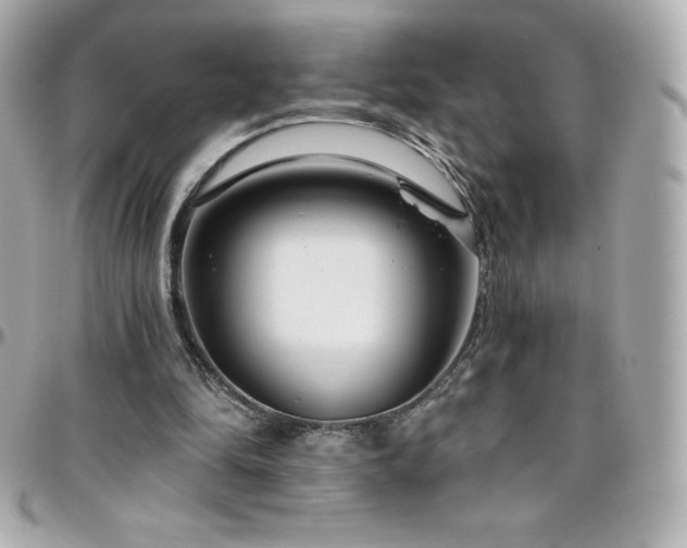 X0000096430294200801241344