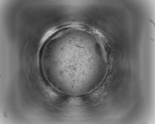 X0000096430296200801241344
