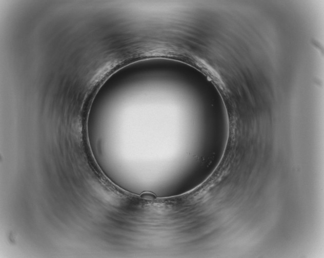 X0000096430298200801241344