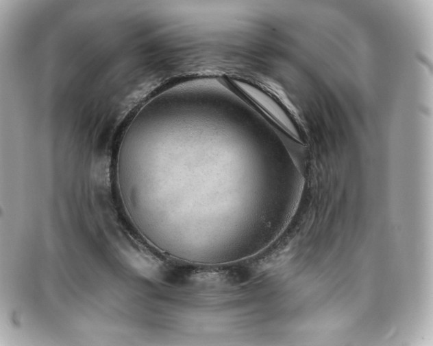 X0000096430299200801241344
