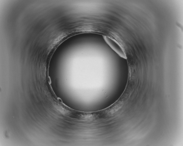 X0000096430301200801241344