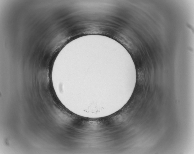 X0000096430302200801241344