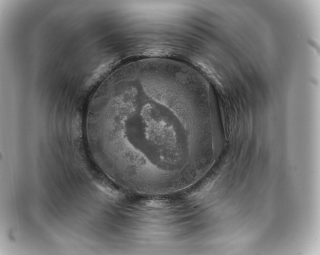 X0000096430303200801241344