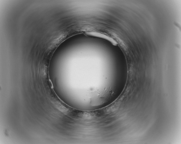 X0000096430305200801241344