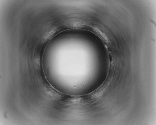 X0000096430306200801241344