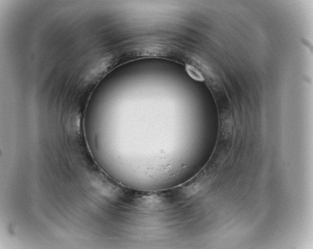 X0000096430310200801241344