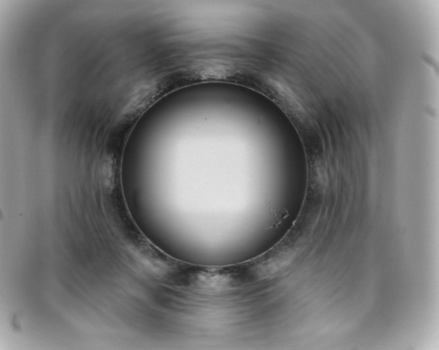 X0000096430311200801241344