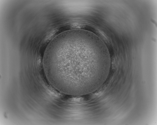 X0000096430314200801241344
