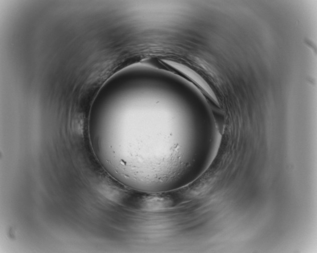 X0000096430315200801241344