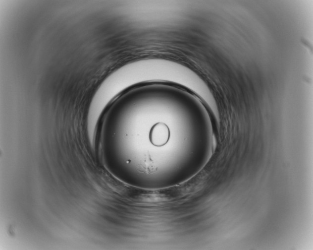 X0000096430316200801241344