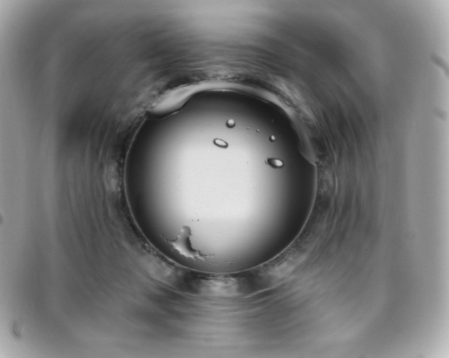 X0000096430317200801241344