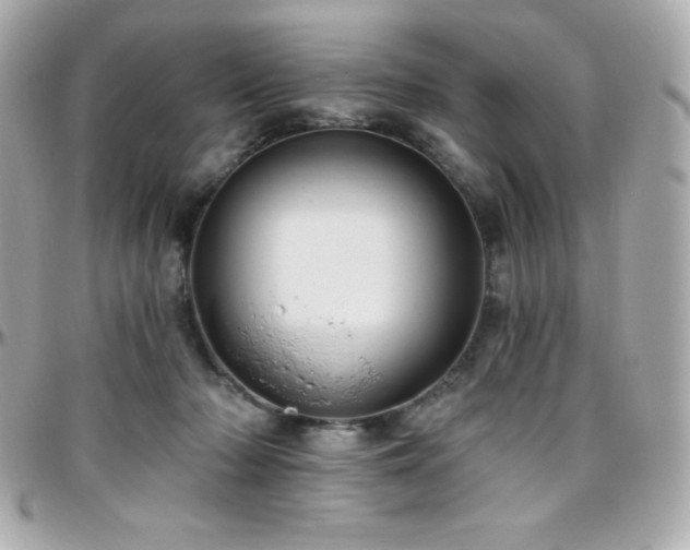 X0000096430318200801241344