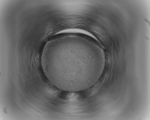 X0000096430319200801241344