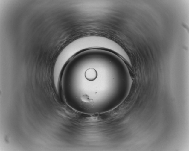 X0000096430320200801241344