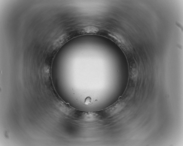 X0000096430321200801241344