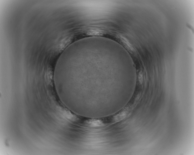 X0000096430322200801241344