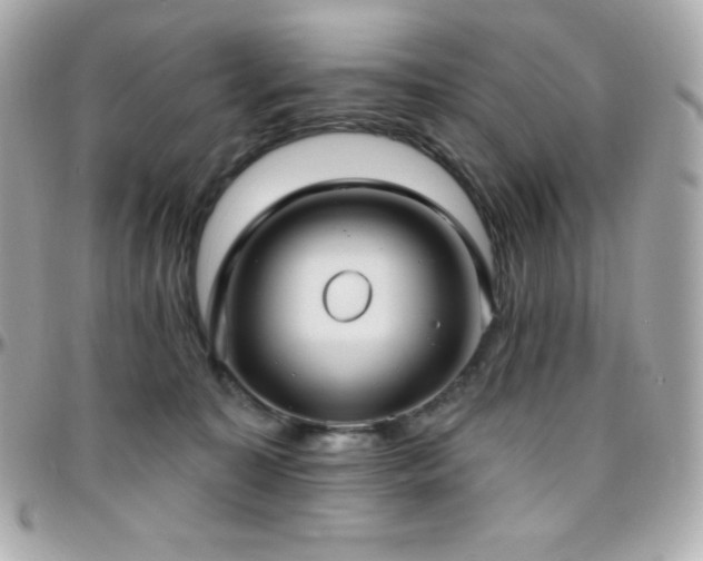 X0000096430323200801241344