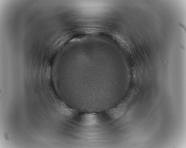 X0000096430325200801241344