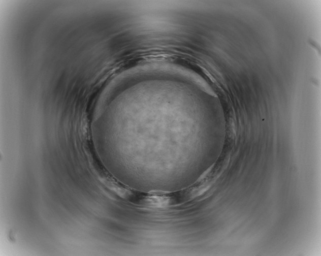 X0000096430328200801241344