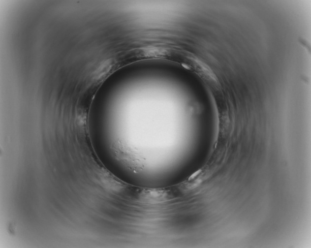 X0000096430329200801241344