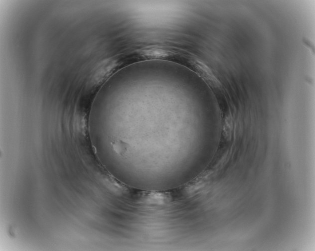 X0000096430330200801241344