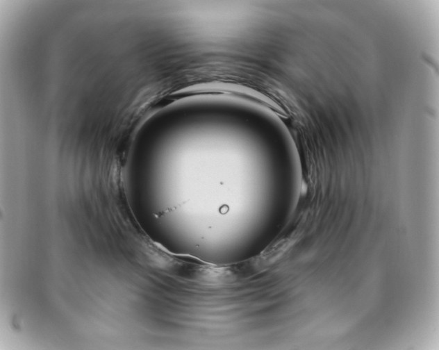 X0000096430333200801241344