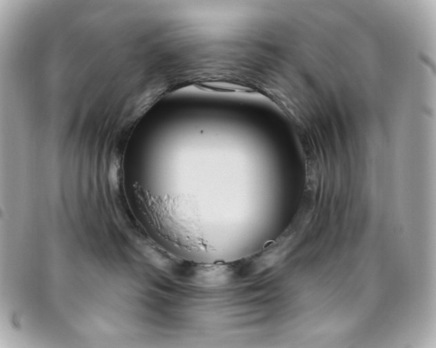 X0000096430334200801241344