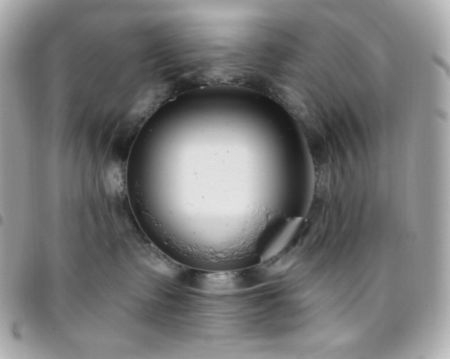 X0000096430335200801241344